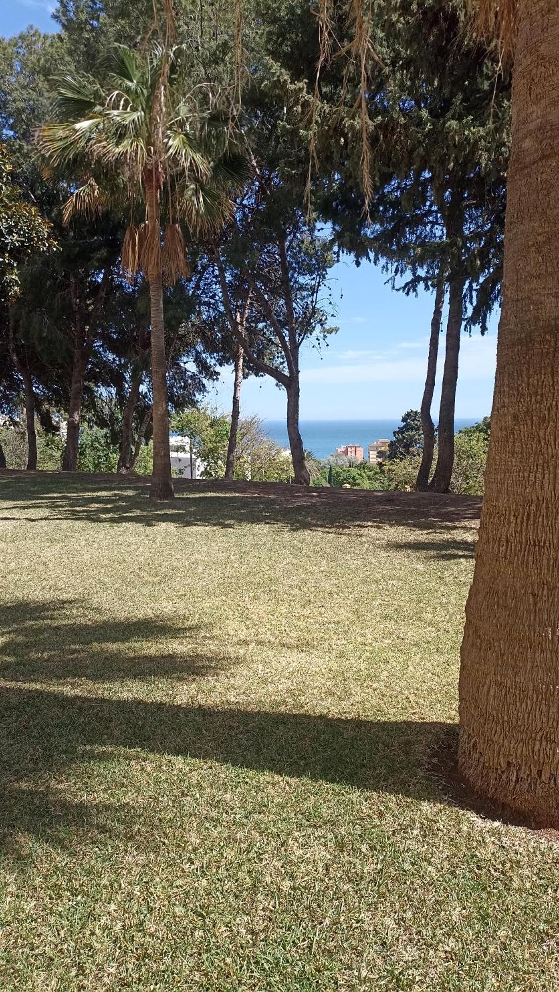 Bonito Y Moderno Estudio Con Vistas Al Mar 贝纳尔马德纳 外观 照片